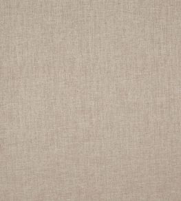Cirrus Fabric by Prestigious Textiles Shell Cirrus Fabric by Prestigious Textiles Shell
