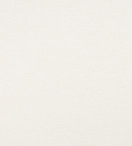 Clara Fabric by Thibaut Almond