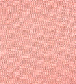 Clara Fabric by Thibaut Coral