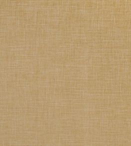 Albany Fabric by Clarke & Clarke Antique