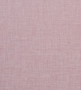 Albany Fabric by Clarke & Clarke Blush