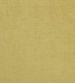 Albany Fabric by Clarke & Clarke Citron