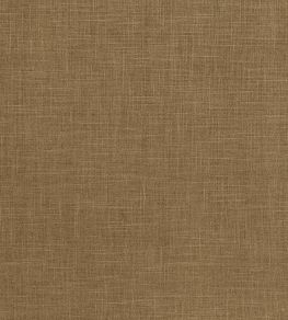 Albany Fabric by Clarke & Clarke Moss