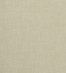 Albany Fabric by Clarke & Clarke Sage Albany Fabric by Clarke & Clarke Sage