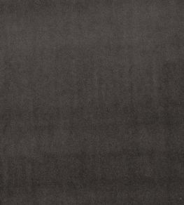 Alvar Fabric by Clarke & Clarke Charcoal Alvar Fabric by Clarke & Clarke Charcoal