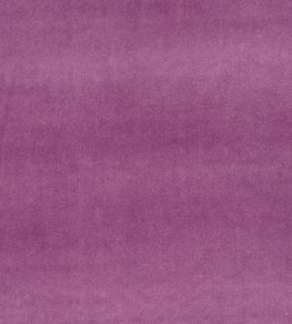 Alvar Fabric by Clarke & Clarke Heather Alvar Fabric by Clarke & Clarke Heather