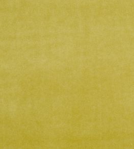 Alvar Fabric by Clarke & Clarke Olive Alvar Fabric by Clarke & Clarke Olive