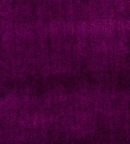 Alvar Fabric by Clarke & Clarke Plum Alvar Fabric by Clarke & Clarke Plum