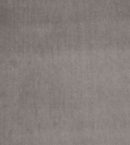 Alvar Fabric by Clarke & Clarke Ash Alvar Fabric by Clarke & Clarke Ash