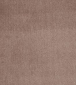 Alvar Fabric by Clarke & Clarke Beaver Alvar Fabric by Clarke & Clarke Beaver