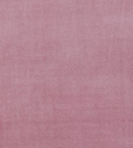 Alvar Fabric by Clarke & Clarke Blush