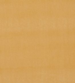 Alvar Fabric by Clarke & Clarke Gold