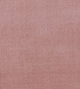 Alvar Fabric by Clarke & Clarke Rose