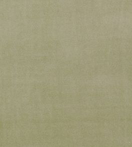 Alvar Fabric by Clarke & Clarke Sage