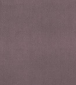 Alvar Fabric by Clarke & Clarke Amethyst Alvar Fabric by Clarke & Clarke Amethyst