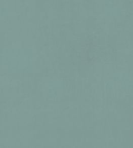 Alvar Fabric by Clarke & Clarke Bay Leaf Alvar Fabric by Clarke & Clarke Bay Leaf