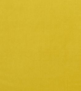 Alvar Fabric by Clarke & Clarke Chartreuse