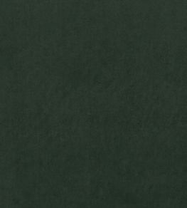 Alvar Fabric by Clarke & Clarke Forest Alvar Fabric by Clarke & Clarke Forest