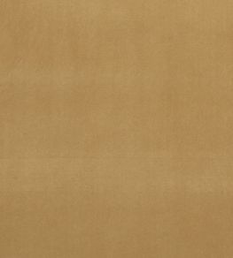 Alvar Fabric by Clarke & Clarke Harvest Alvar Fabric by Clarke & Clarke Harvest