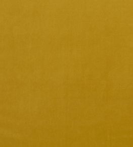 Alvar Fabric by Clarke & Clarke Honey Alvar Fabric by Clarke & Clarke Honey