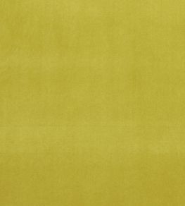 Alvar Fabric by Clarke & Clarke Lime
