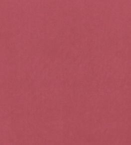 Alvar Fabric by Clarke & Clarke Peony