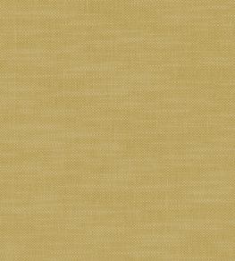 Amalfi Fabric by Clarke & Clarke Buttercup