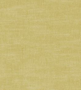 Amalfi Fabric by Clarke & Clarke Chartreuse Amalfi Fabric by Clarke & Clarke Chartreuse