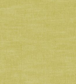 Amalfi Fabric by Clarke & Clarke Citron Amalfi Fabric by Clarke & Clarke Citron