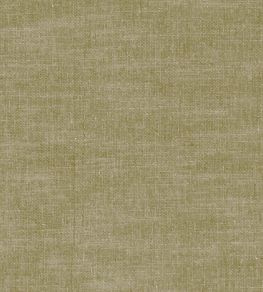 Amalfi Fabric by Clarke & Clarke Moss Amalfi Fabric by Clarke & Clarke Moss