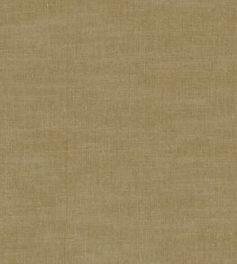 Amalfi Fabric by Clarke & Clarke Olive Amalfi Fabric by Clarke & Clarke Olive