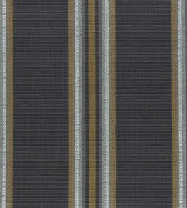Imani Fabric by Clarke & Clarke Charcoal/Cinnamon