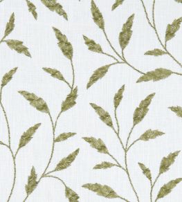 Fairford Fabric by Clarke & Clarke Olive Fairford Fabric by Clarke & Clarke Olive