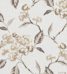 Summerby Fabric by Clarke & Clarke Natural