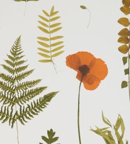 Herbarium Wallpaper by Clarke & Clarke Multi/Ivory