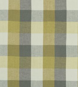 Austin Check Fabric by Clarke & Clarke Citron/Natural