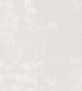 Haze Fabric by Clarke & Clarke Ivory