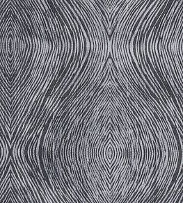 Luster Fabric by Clarke & Clarke Charcoal