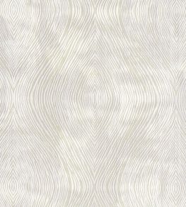 Luster Fabric by Clarke & Clarke Ivory Luster Fabric by Clarke & Clarke Ivory