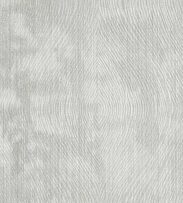 Luster Fabric by Clarke & Clarke Silver
