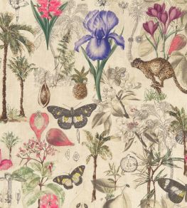 Botany Fabric by Clarke & Clarke Summer Botany Fabric by Clarke & Clarke Summer