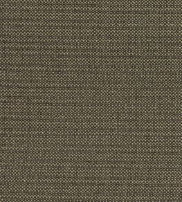 Kauai Fabric by Clarke & Clarke Charcoal