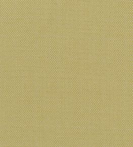 Kauai Fabric by Clarke & Clarke Citron