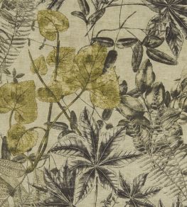 Madagascar Fabric by Clarke & Clarke Charcoal / Chartreuse