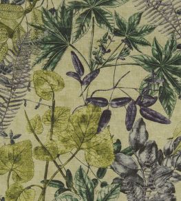 Madagascar Fabric by Clarke & Clarke Forest Madagascar Fabric by Clarke & Clarke Forest