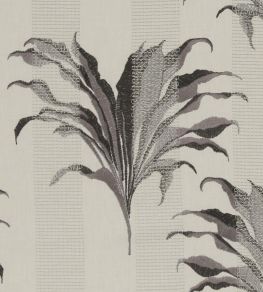 Palma Fabric by Clarke & Clarke Charcoal Palma Fabric by Clarke & Clarke Charcoal