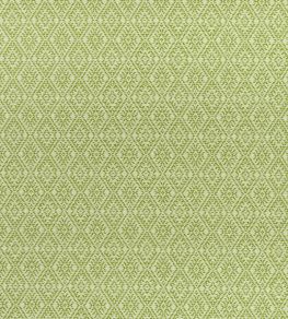 Hampstead Fabric by Clarke & Clarke Apple