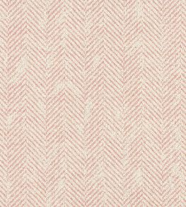 Ashmore Fabric by Clarke & Clarke Blush