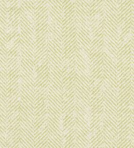 Ashmore Fabric by Clarke & Clarke Citron