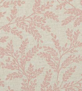 Ferndown Fabric by Clarke & Clarke Blush